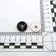 Shank Button Bull Head Logo 20.7 mm - 32 L E 2245 MN