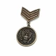 6 cm Antique Brass-Tone Emblem Medal Brooch BRS0002