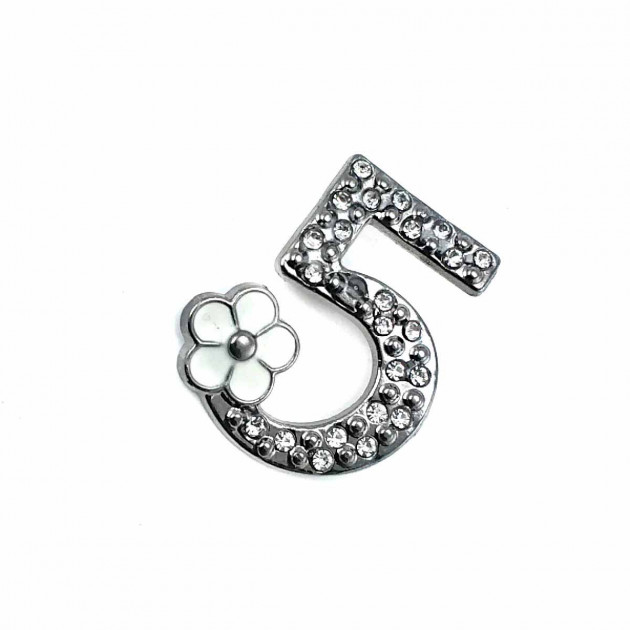 Taşlı ve Şık Gümüş 5 Numara  Renk Broş BRS0018
