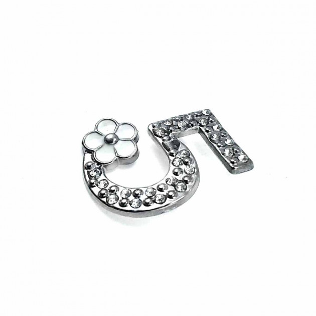 Taşlı ve Şık Gümüş 5 Numara  Renk Broş BRS0018