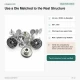 14 mm Star Logo Brass Jeans Button in Nickel Color, Pack of 75, Ideal for Denim Garments