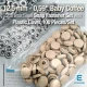 12.5 mm - 0,49" Snap Fastener Set with Coffee Milk Plastic Cap - Silver 3 Bottom Pieces 100 pieces/pack ERC00125PLSKahve