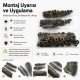 Antique Brass Color Brass 54 System Lower 3 Parts, 100 pcs/Pack for snap fastener applications, black oxide finish, suitable