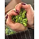 Metal Stoper 4,5 mm Delik Çaplı İki Delikli Fıstık Yeşili Estetik Model - Zamak Stoper CGT0001PROMO