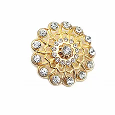 Stone Aesthetic Gold Color Metal Brooch BRS0043