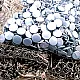 Prong Snap Fastener with Cover 9.5mm - 3/8" Pastel Blue Painted Stainless 250 Pcs/Pack C0014PromoPBlue