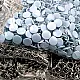 Prong Snap Fastener with Cover 9.5mm - 3/8" Pastel Blue Painted Stainless 250 Pcs/Pack C0014PromoPBlue