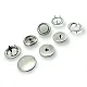 Brass Prong Snap Fasteners For Coat 250 pcs Deluxe Series Single Cap PRV20R300